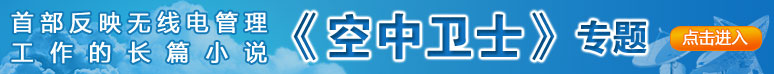 《空中卫士》